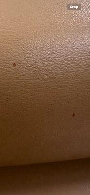 Octapharma Plasma - Pembroke Pines