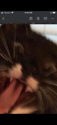 Metroplex Foundation Repair