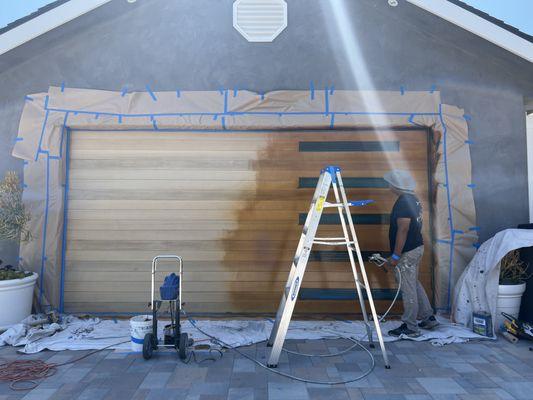 Sofi’s FairPainting