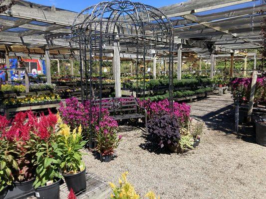 The Great Big Greenhouse and Nursery
