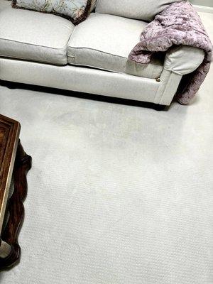 Ward Carpet Cleaning Services