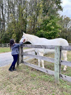Maryland Therapeutic Riding