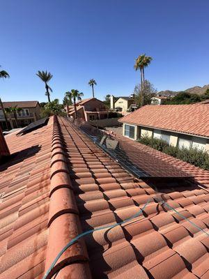 Squeegee Bros Window Cleaning