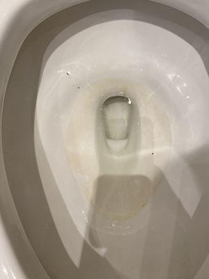 Lindy's House Cleaning Service