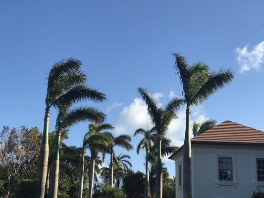 Djn Landscaping And House Care