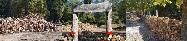 Cotcamp's Tree Service