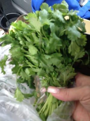 Dollar General Market