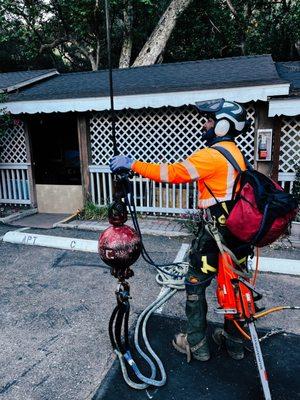 Coastal Tree Tenders