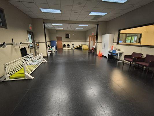 Animal Therapy Center