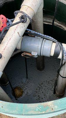 Dynamic Septic Solutions