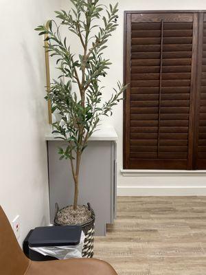 D. Shannon Haddock PA-C