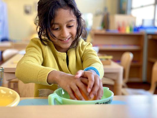 Ocean State Montessori School