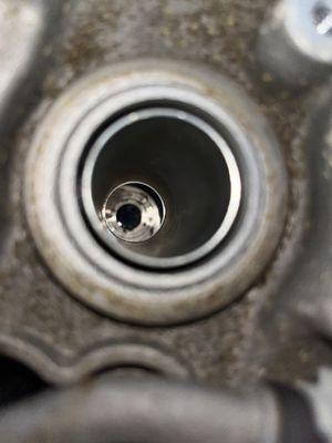 AutoNation Collision Center Corpus Christi