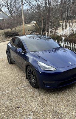 Fresh new tints on these tesla