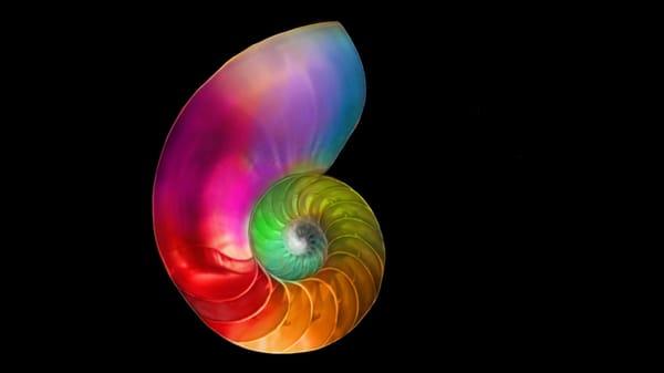 The golden ratio in the full spectrum