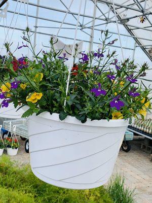 Schuren Nursery & Garden Center