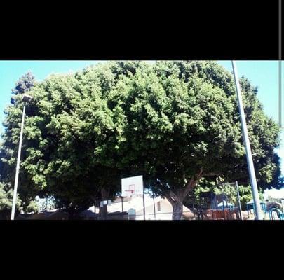 Hoover Recreation Park