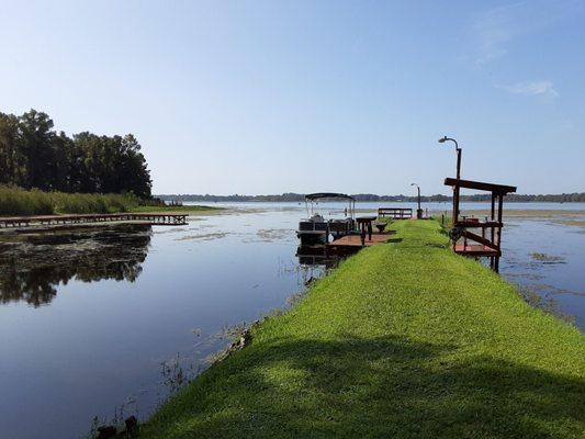 Nice place to have morning coffee and spot some baby alligators.