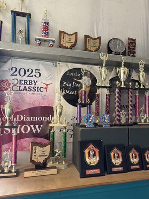 All-Around Gymnastics Academy