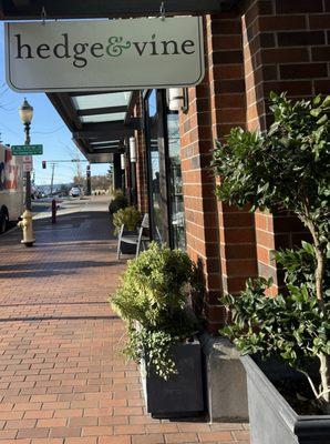 hedge & vine