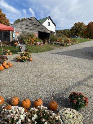 Yates Family Orchard