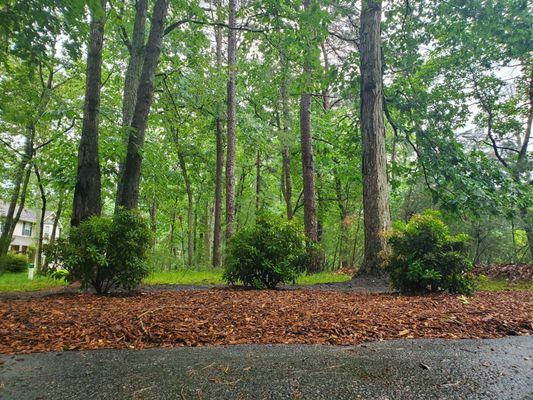 Briand's Garden Center