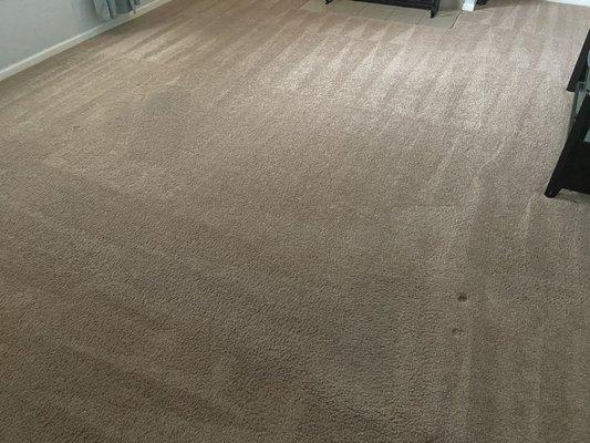 Springer's Complete Carpet & Tile Care