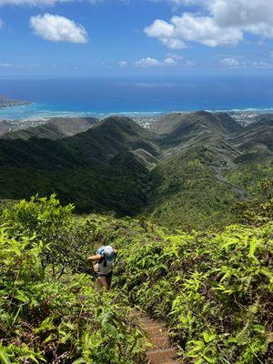 Hawaii Loa Ridge Trail