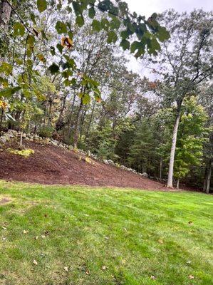 Chilel’s Tree Company