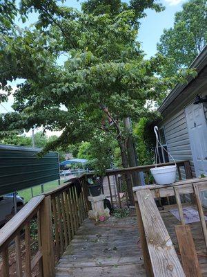 Marcums pro pressure washing and handyman services