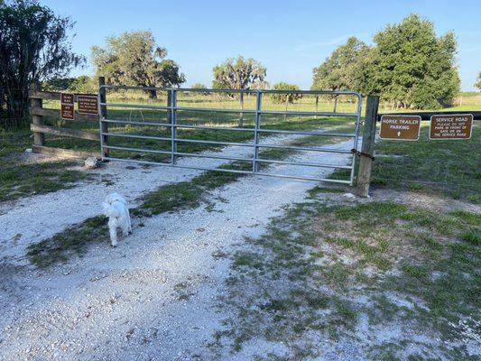 Marshall Hampton Reserve