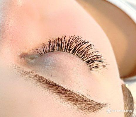 Everything Lovely Lash