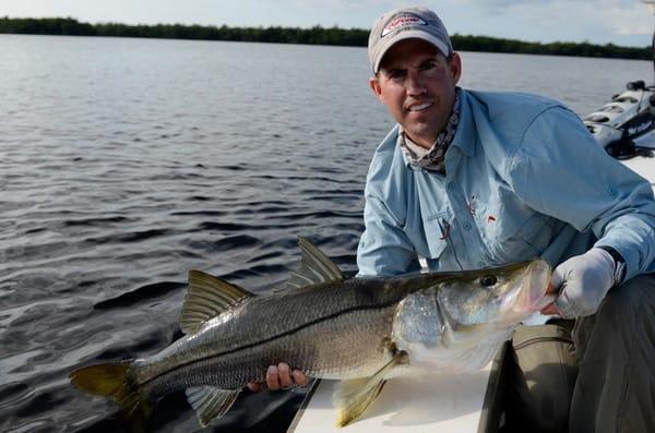 Everglades Snook