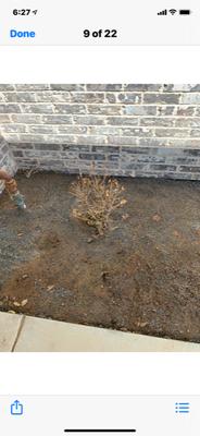 Secret Gardener Landscape