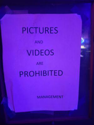 The Fox Gentlemen's Club