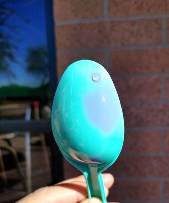 Bahama Buck's - Tempe