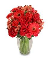 Galveston Flower Company the