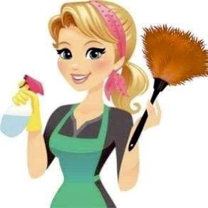 Brenaly’s Cleaning Services for house