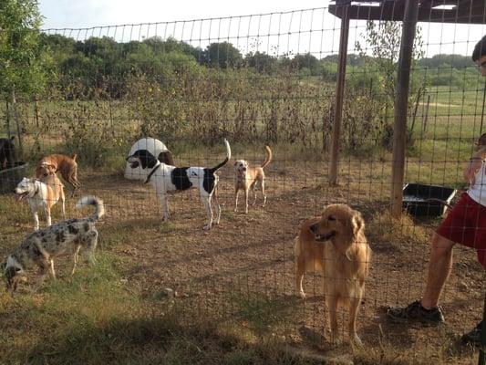Ruff Ranch Pet Boarding
