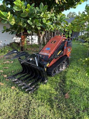 East Coast Trees and Landscaping