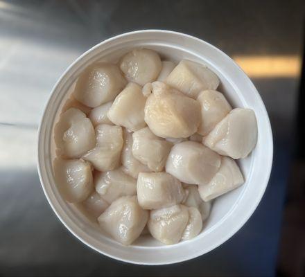 Fresh scallops