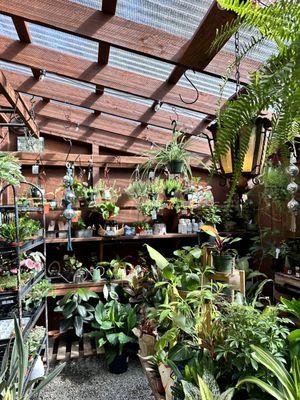part of the greenhouse