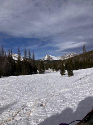 Monarch Dog Sled Rides