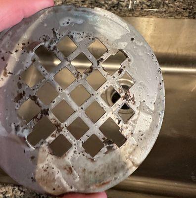 Fremont Commons Apartments