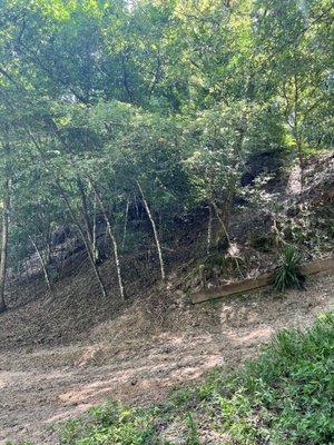 Clark Creek Natural Area