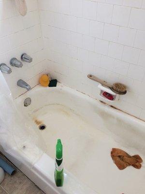 Michelle's All In One