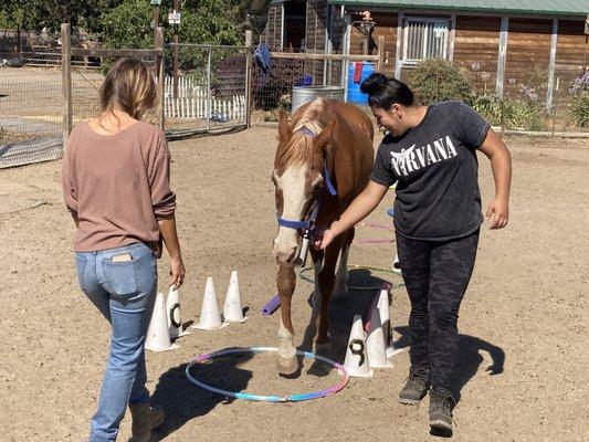 Two teens teaming up to lead the horse at liberty through their obstacle course, Life's Little Challenges.