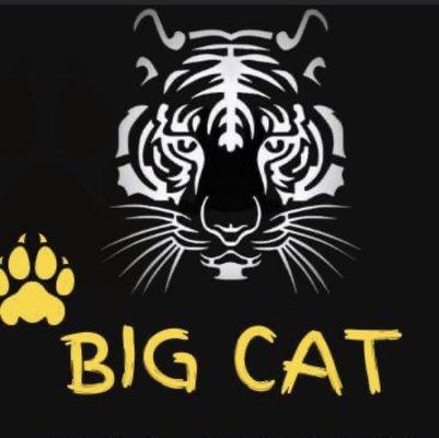 Big Cat Junk Removal