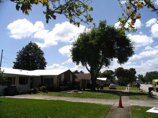 All About You Tree Service