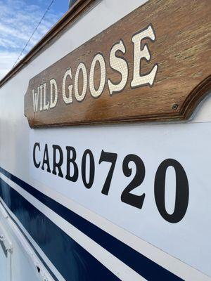 Silly Golden Grey Goose went Wild here! @Wild Goose Newport Beach CA Sat 2/8/25